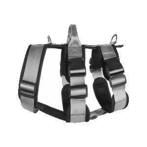 Escape-Proof harness for large dogs