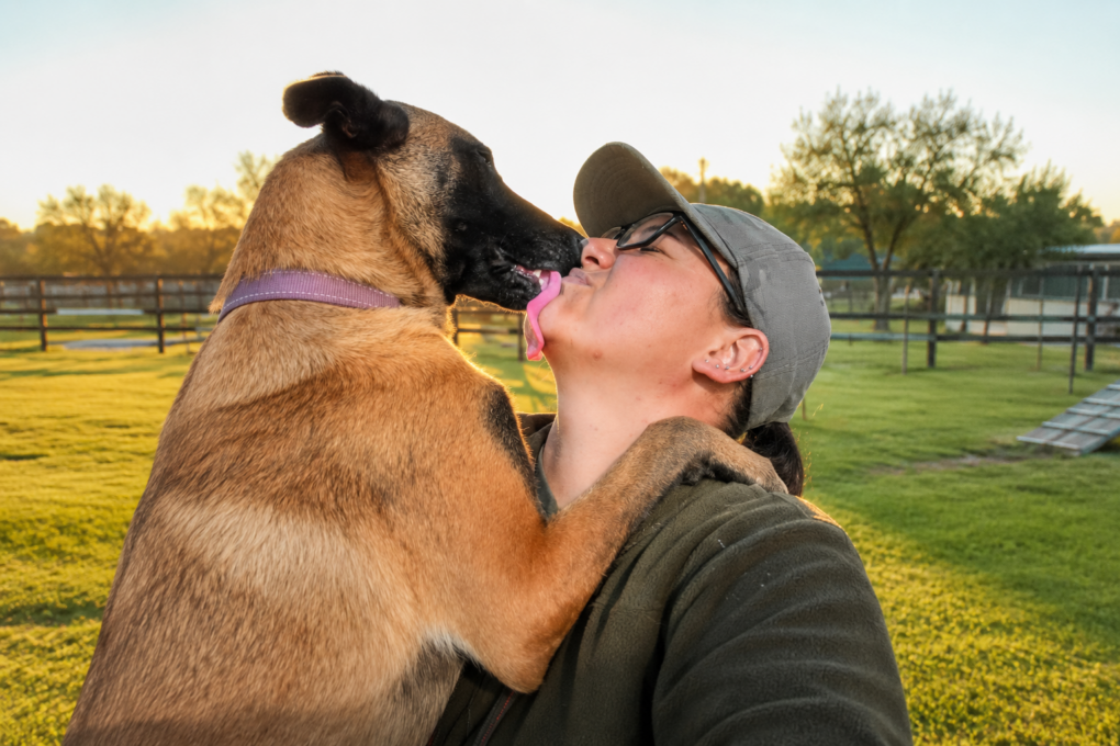 Dog sharing an affectionate moment with a caregiver at Best Friends Dog School in Pretoria, reflecting the loving, individual care every dog receives.